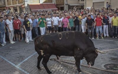 Toro de la Vega, lo mismo de siempre pero con diferente nombre