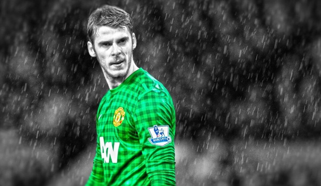 De Gea no abandona la Euro2016: «Todo es Falso»
