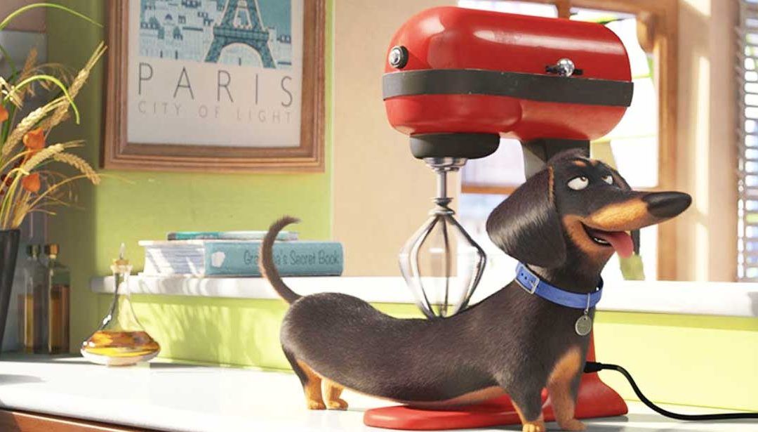 ¿Sabes lo que hacen tu «Mascotas» cuando cierras la puerta?