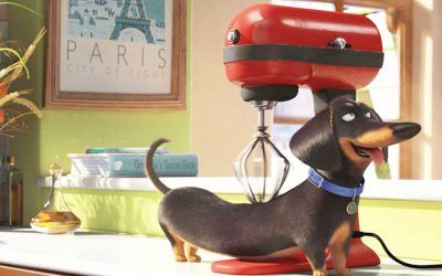 ¿Sabes lo que hacen tu «Mascotas» cuando cierras la puerta?