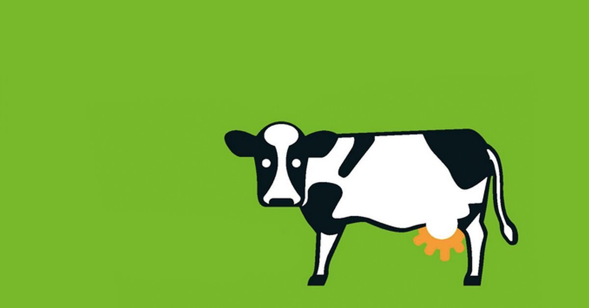 La carne que comemos: ¿cuanto daño nos hace la ganadería industrial?