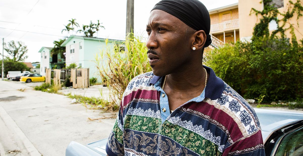 Moonlight arrebata el Oscar de mejor película a ‘La La Land’