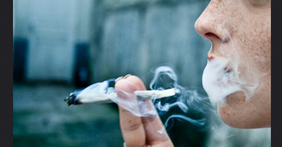 ExpoCannabis / aumenta consumo Marihuana Cannabis en España (https://www.flickr.com/photos/foradoeixo)