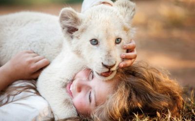 Estrenos: Mia y el león blanco, lágrimas de emoción