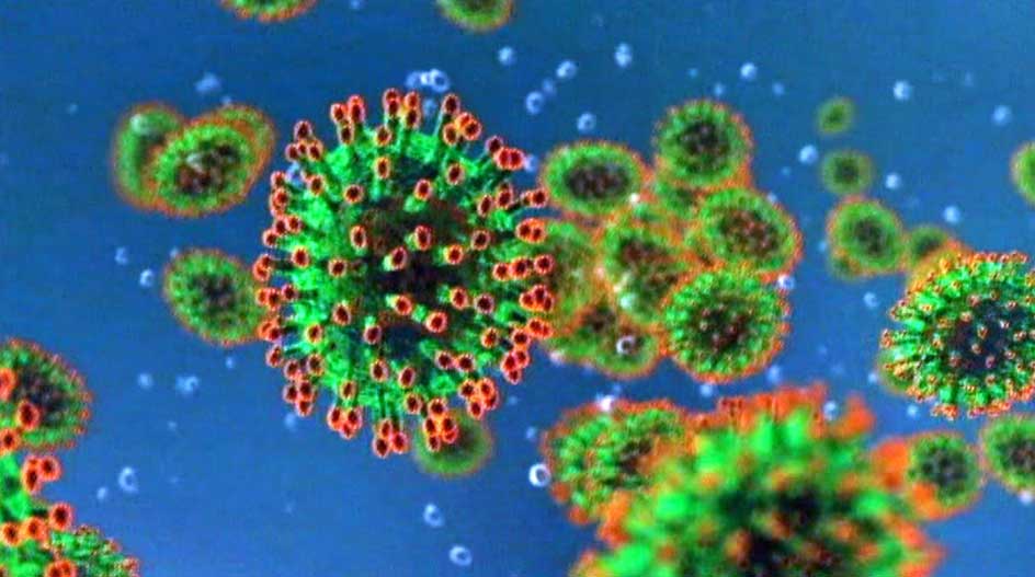 coronavirus