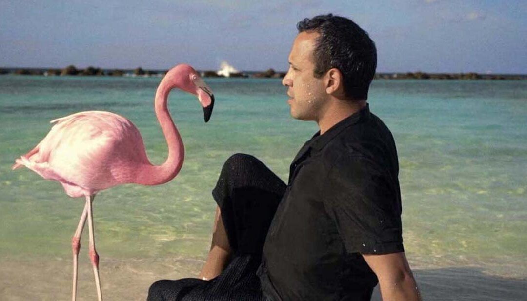 Estrenos imperdibles: The mystery of the Pink Flamingo, Anatomía de un Dandy, Ondina y De Gaulle