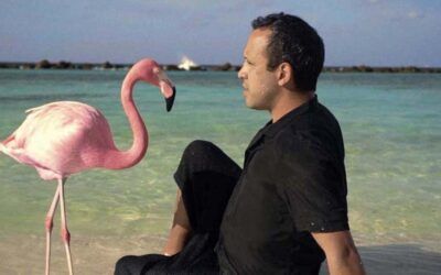 Estrenos imperdibles: The mystery of the Pink Flamingo, Anatomía de un Dandy, Ondina y De Gaulle