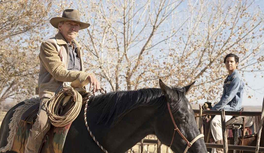 Estrenos cine: roadmovie ‘Cry Macho’ con Clint Eastwood, ‘Maixabel’ de Iciar Bollaín y ‘Respect’, biopic de Aretha