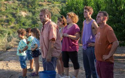 Estrenos cines Madrid: la premiada ‘Alcarrás’ de Carla Simón, comedia ‘Dog’ con Channing, la nueva era de ‘Downtown Abbey’ y más