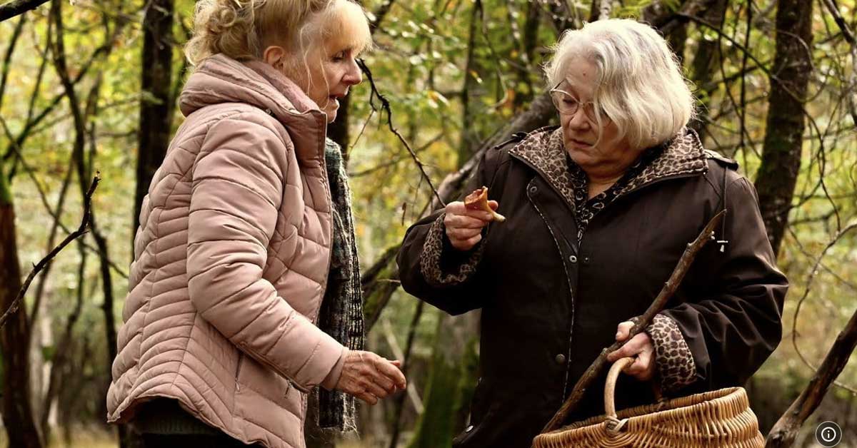 Cuando cae el otoño de François Ozon - estrenos en cines de España en diciembre