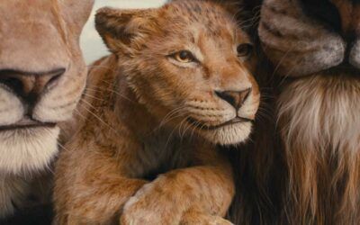Estrenos navideños: ‘Mufasa, el Rey León’, ‘Un lío de millones’ y ‘Una vida en secreto’, ‘Nosferatu’ y ‘Sonic 3’