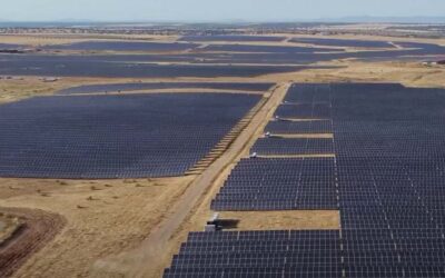 ¿Energías renovables?: la soga verde que estrangula los territorios rurales de España