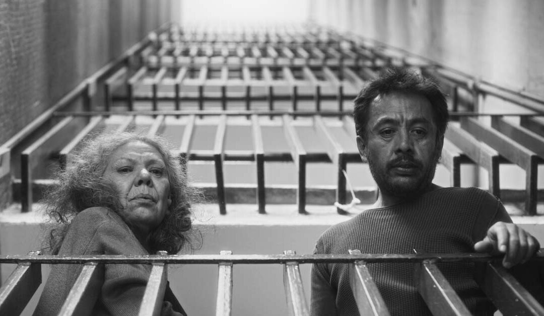 Pierre Saint-Martin, director de ‘No nos moverán’, film mexicano que va a por los premios Goya 2026 : «Necesitamos otra narrativa, salir de la destrucción y la venganza»
