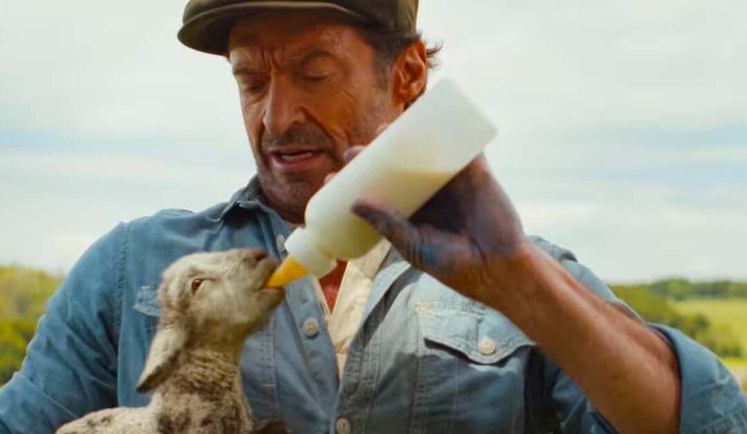 Estrenos cines mayo : Las ovejas detectives con Hugh Jackman